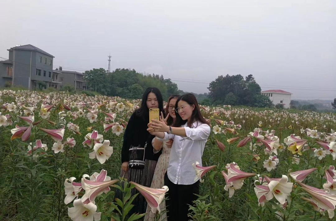 祁阳：“一村一品”打造乡村产业新亮点