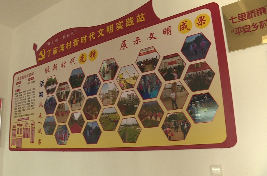【学思想 强党性 重实践 建新功】七里桥镇：推动“两中心”融合共建工作走深走实
