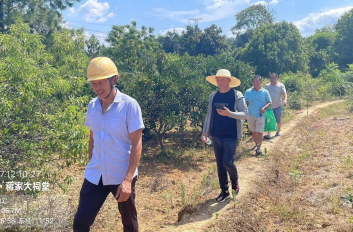 下马渡镇：恢复耕地“加速度” 守牢群众“粮袋子”