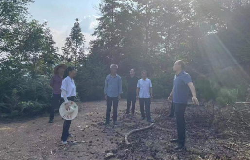 潘市镇：实地调研红色美丽乡村建设