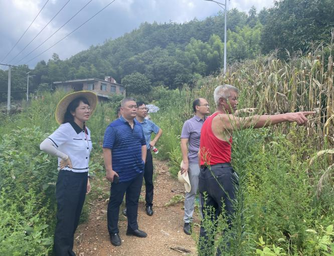 潘市镇：做活红色文化调研，推进红色美丽乡村建设