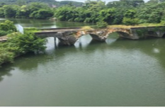 文富市镇“全力推进河长制　　助力美丽乡村建设”