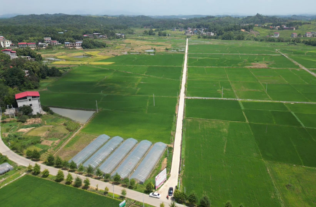 祁阳：科学调度水库放水 确保农田灌溉用水