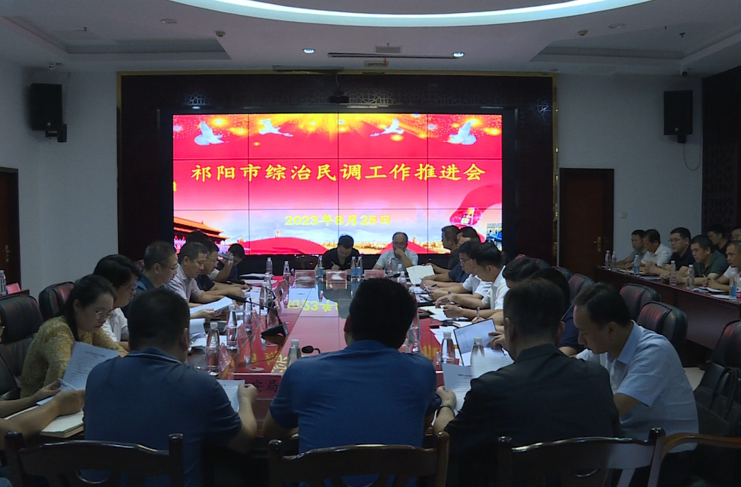 祁阳市召开综治民调工作推进会