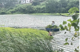 黎家坪镇开展河道清理活动