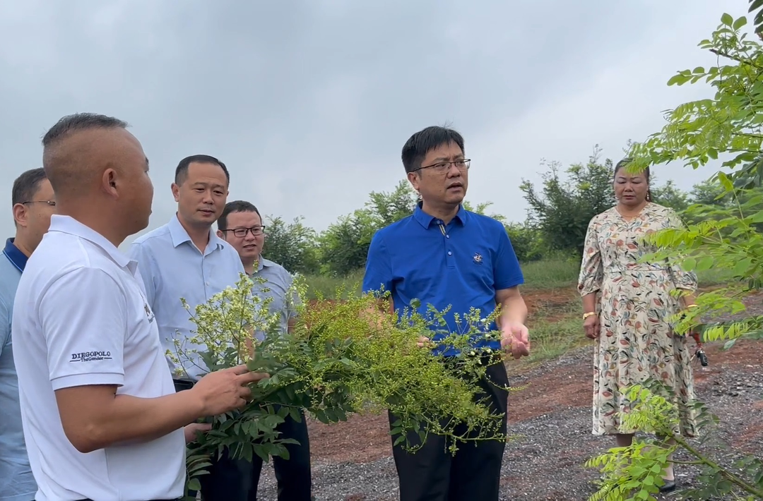 陈小平调研乡村振兴时强调：以农村人居环境整治为抓手 加快打造宜居宜业和美乡村