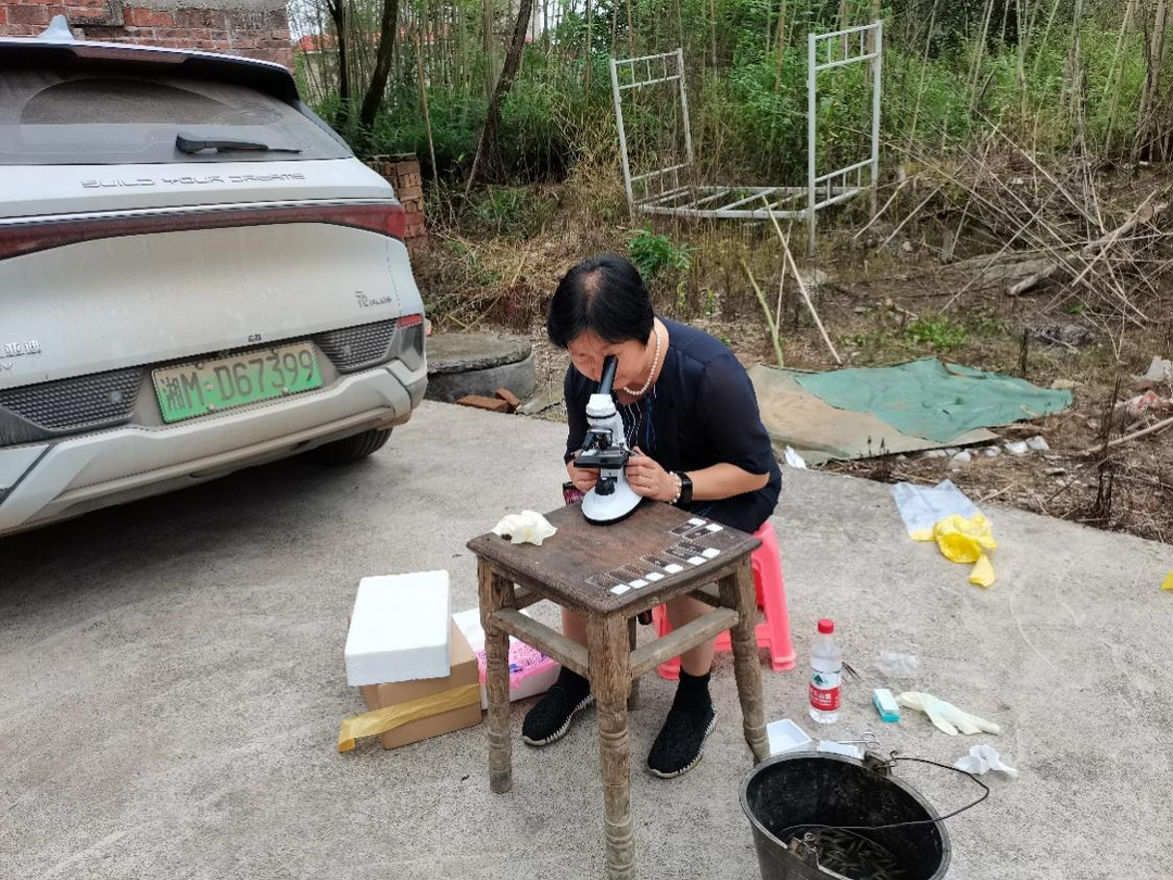广东省多位专家莅临祁阳市  指导肝吸虫防治工作