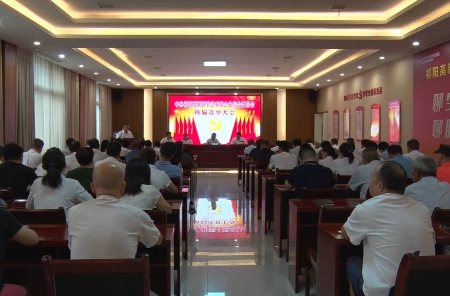 ​﻿祁阳市高新区举办中共非公有制企业综合委员会换届选举大会