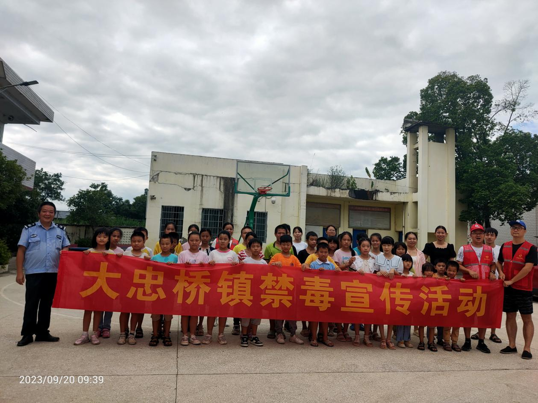 大忠桥镇开展禁毒宣传进校园活动