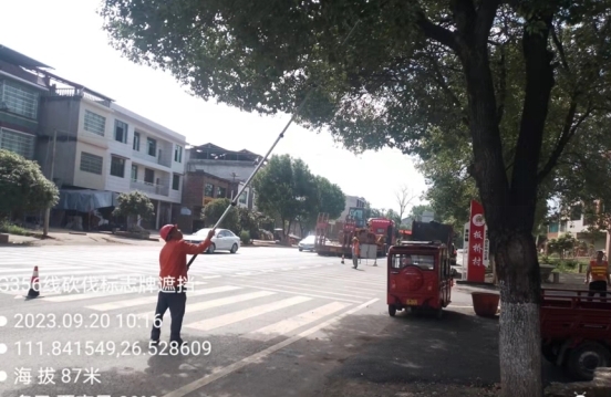 祁阳市公路建设养护中心：清理道路标志牌遮挡物  保障来往车辆通行安全