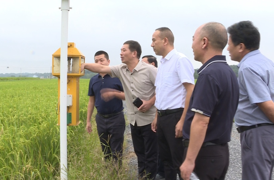 祁阳市政协召开改善生态环境“化肥农药减量增效”专项民主监督协商会议