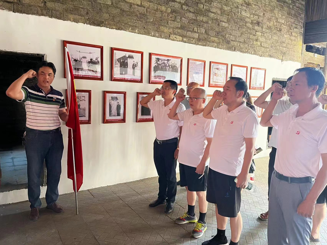 大忠桥镇：“三创三强”四色绘就乡村振兴新蓝图