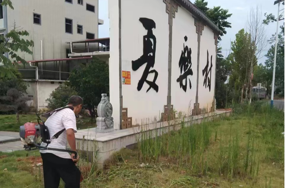 观音滩镇：开展人居环境全域提升集中整治行动