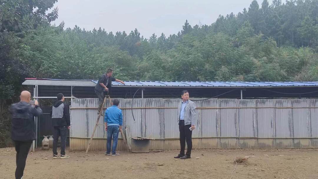 大忠桥镇建立健全耕地保护长效机制