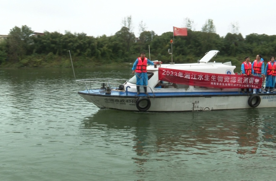 省水生生物资源监测中心湘江资水站专家来祁开展水生生物资源监测调查