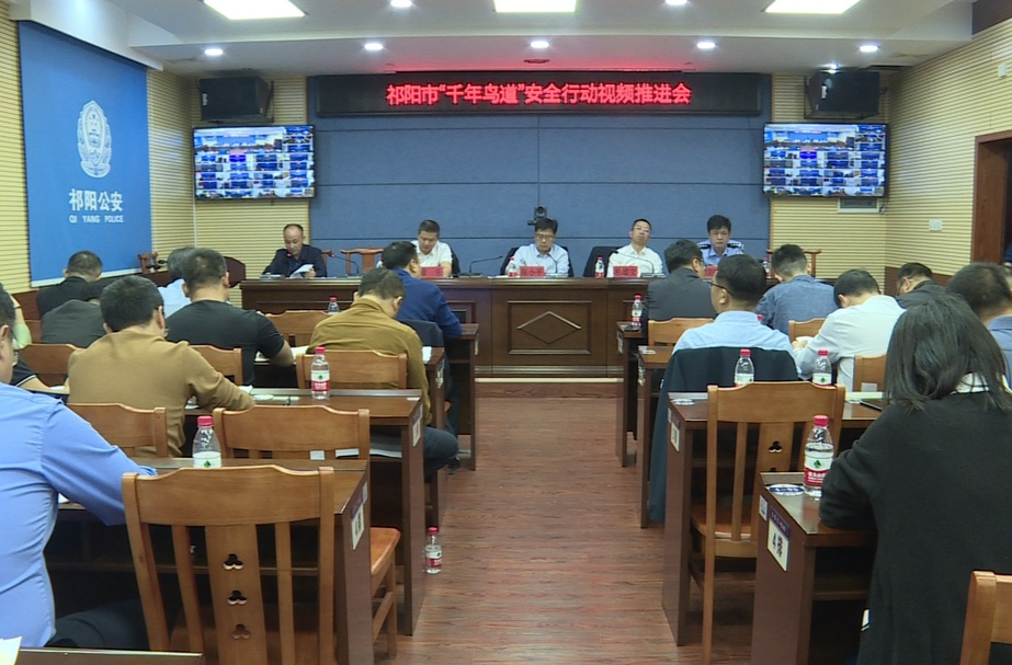 祁阳市“千年鸟道”安全行动视频推进会召开