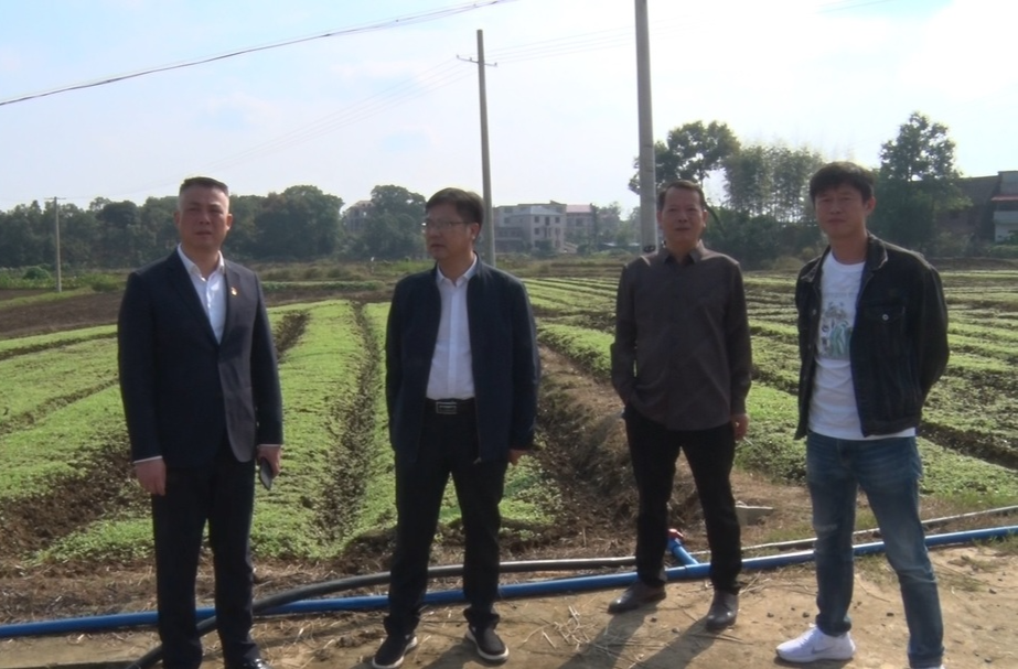 陈小平调研指导秋冬农业生产工作