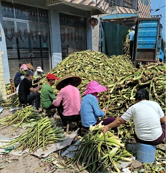 祁阳市白水镇向凉村：产业圆了民富梦