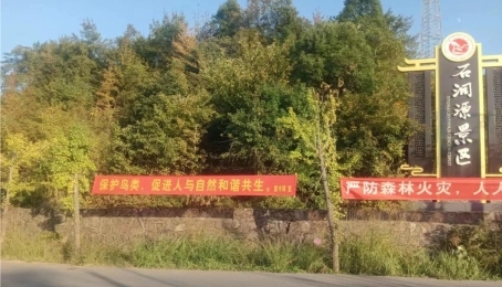 守护千年鸟道，共建生态家园