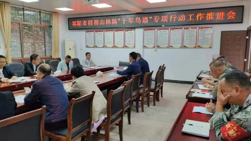 挂榜山林场：打好迁徙候鸟保护“组合拳”