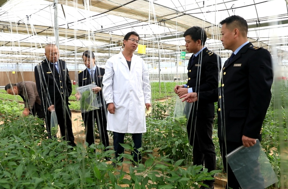 祁阳：蔬菜颁发合格证 舌尖安全有保障