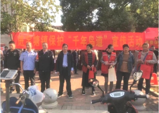 进宝塘镇：护航迁飞候鸟，保护“千年鸟道”