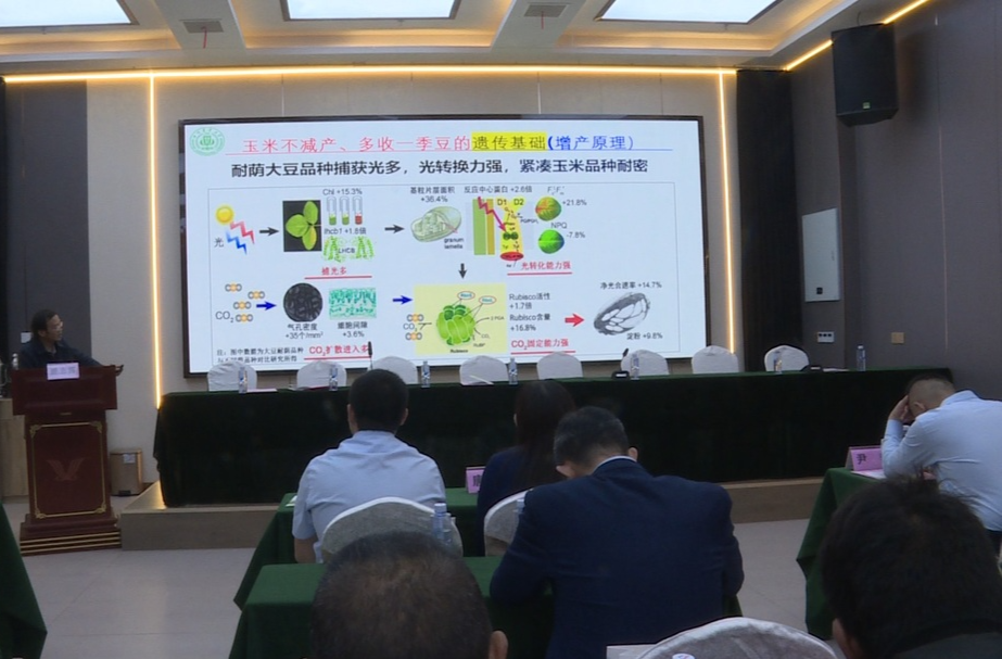 ​﻿​太平洋产险开展“送技下乡”主题授课活动