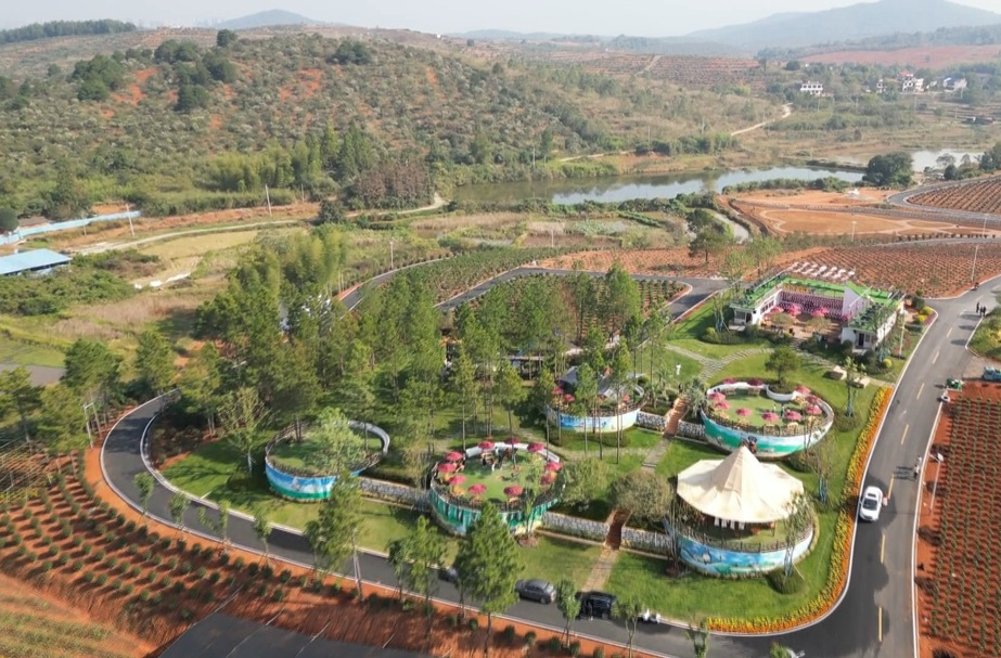 ​﻿​祁阳现代农业园：打造精品文旅项目 助力首届湖南油茶节