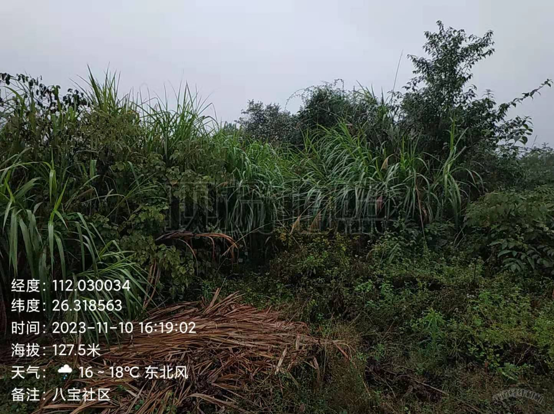 八宝镇开展禁毒摸排行动