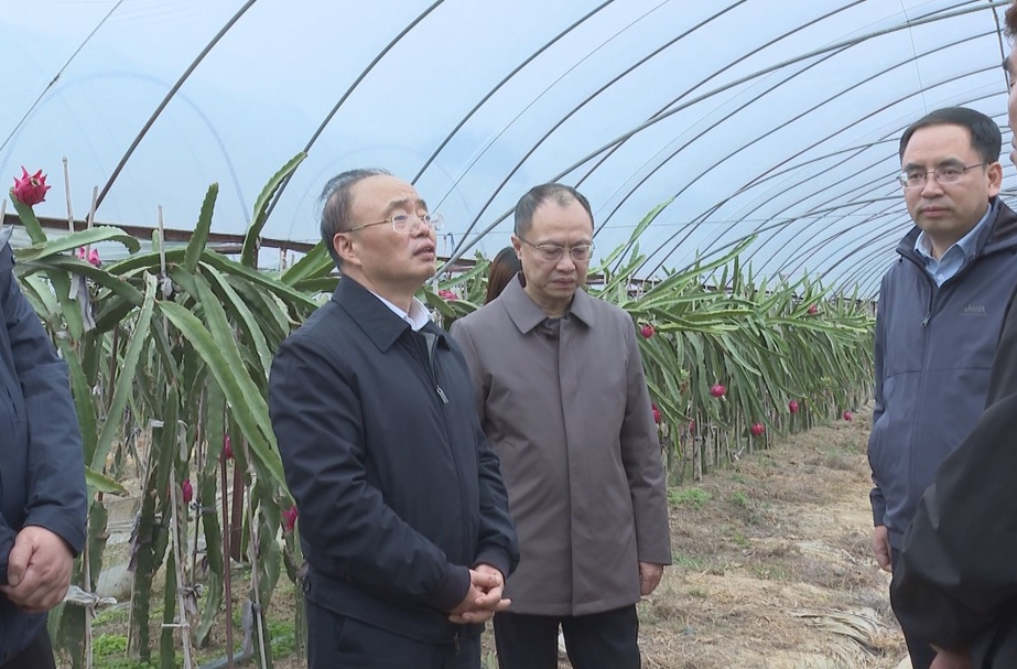 省人大常委会副主任彭国甫在永州祁阳调研时强调：坚持标准化集约化发展 加快构建农业适度规模经营体系