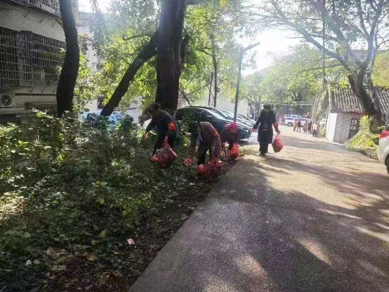 龙山社区开展清扫白色垃圾活动