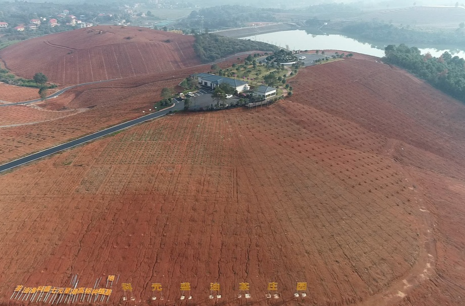 祁阳：科技赋能 种出高产稳产油茶林