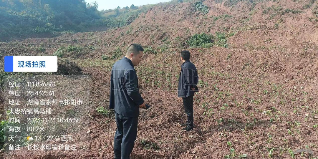 大忠桥镇扎实推进耕地恢复工作