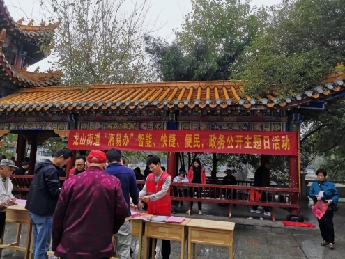 龙山街道：“湘易办”开启办事效率新高度