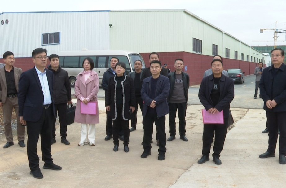 省十四届人大代表永州第二小组视察祁阳市县域经济发展情况