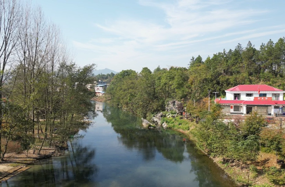 仙泉村：提升美丽乡村“颜值” 擦亮乡村振兴“底色”