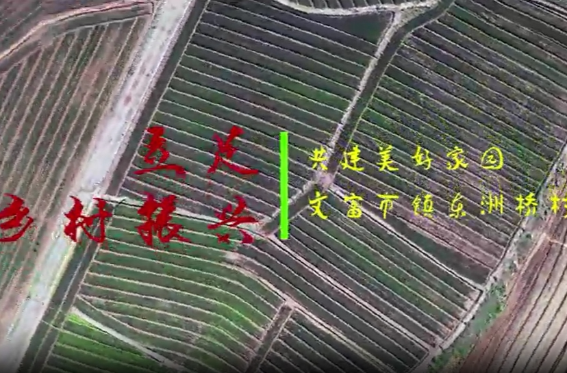 文富市镇东洲桥村：立足乡村振兴  共建美好家园