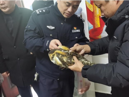 下马渡镇：积极救助野生动物 共建和谐生态家园