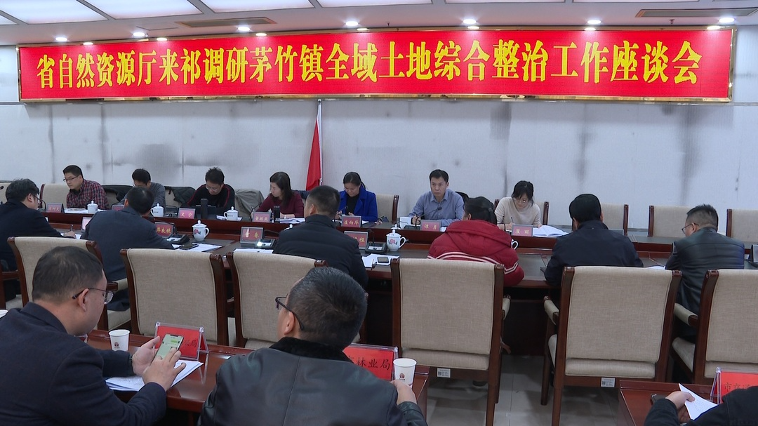 省自然资源厅调研组深入祁阳茅竹镇调研全域土地综合整治工作
