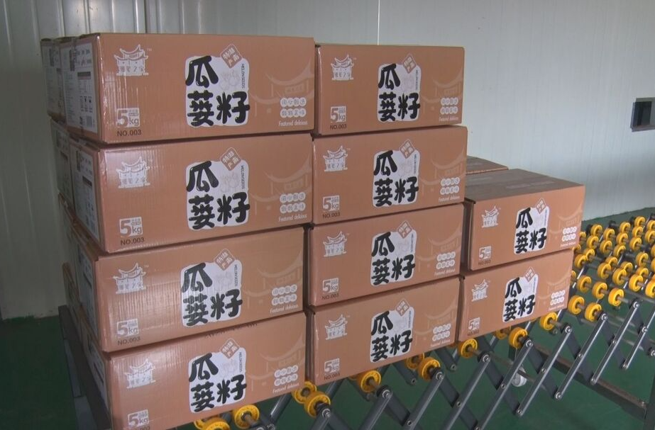 大忠桥镇：2000亩吊瓜子丰收