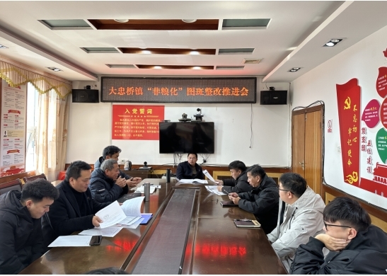 大忠桥镇：扎实推进耕地“非粮化”图斑整改工作