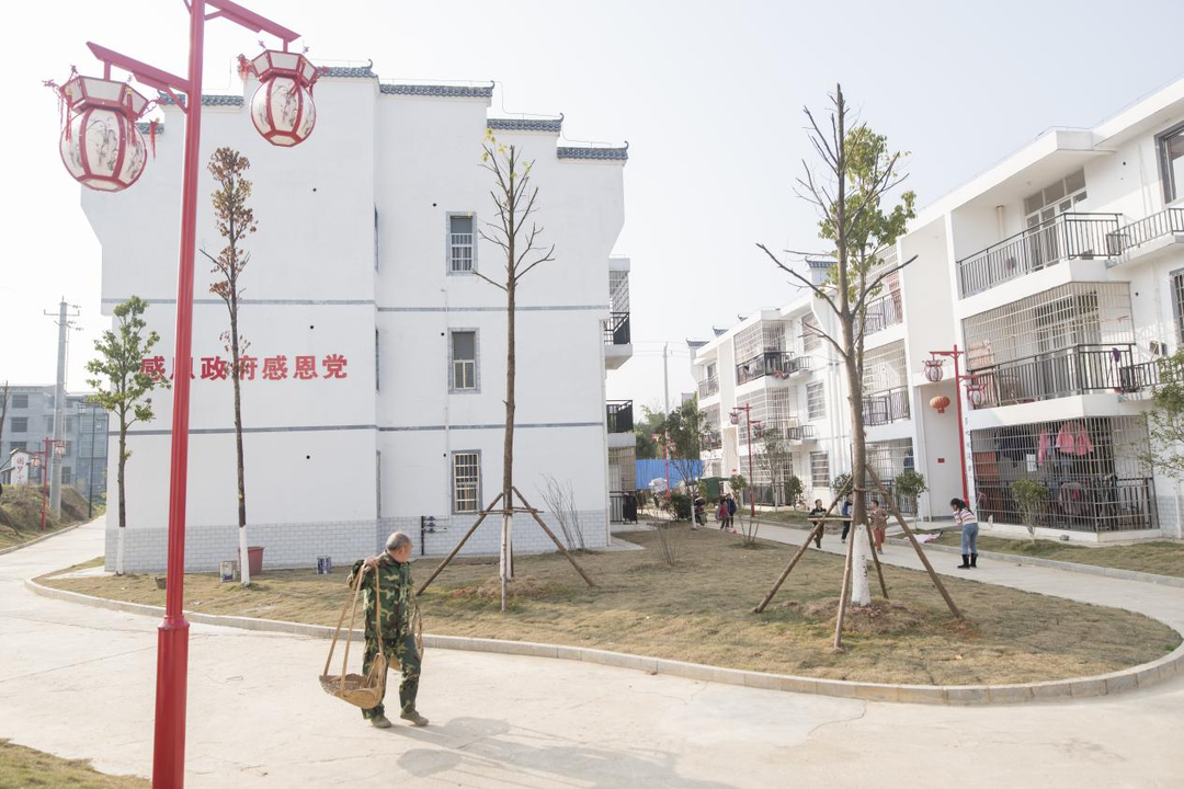 大忠桥镇：打造和美村庄  擘画幸福蓝图