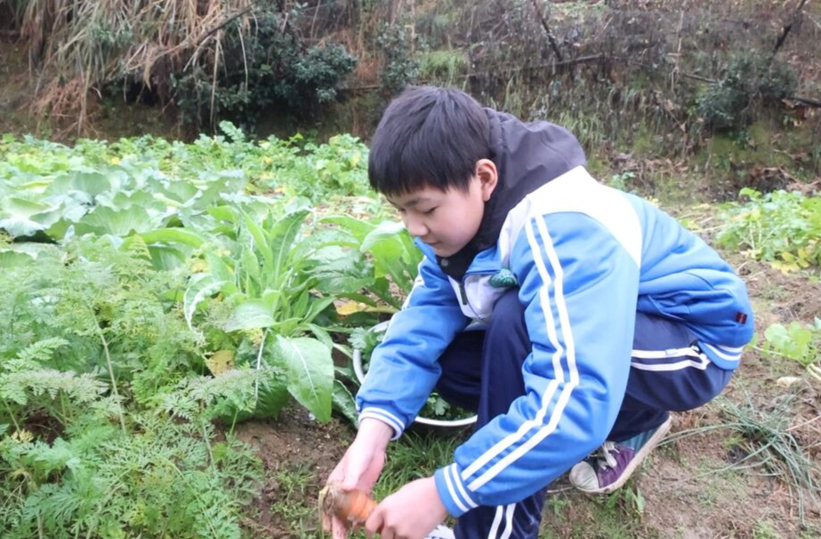 李文金：14岁羸弱少年撑起家