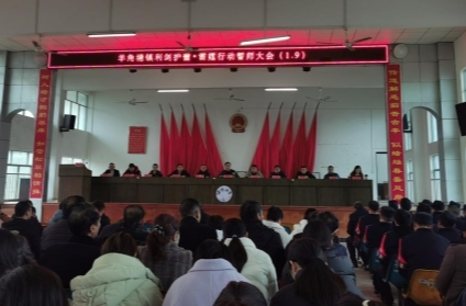 羊角塘镇召开“利剑护蕾·雷霆行动”誓师大会