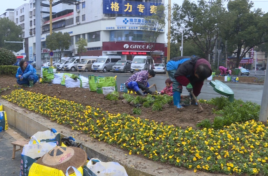 祁阳：补花植绿迎新春 花香芬芳年味浓