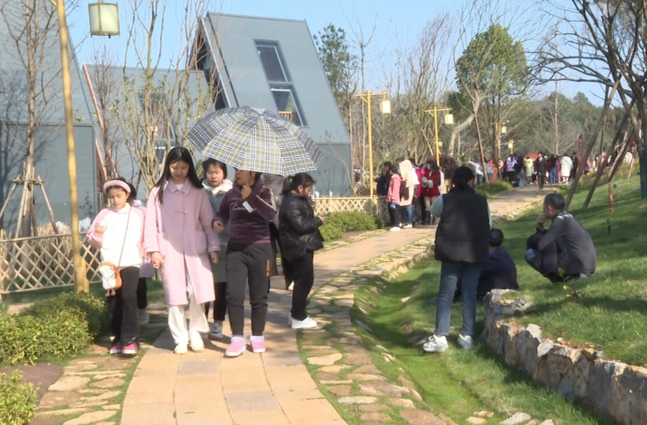 祁阳：唐家山油茶文化园游人如织