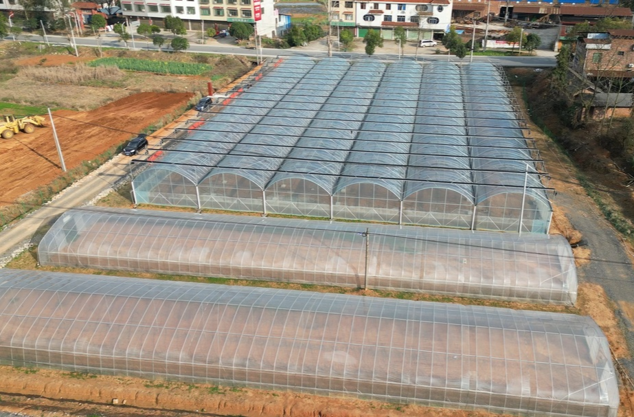 祁阳：新建26万平方米育秧大棚 助力早稻扩面增产