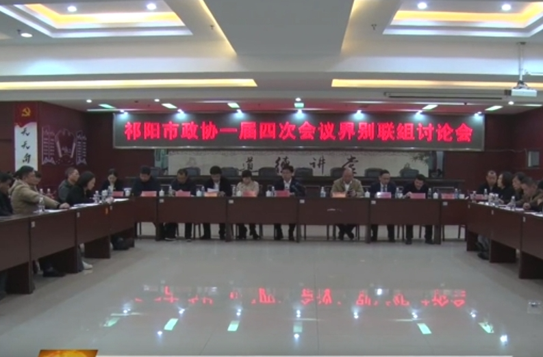 陈小平参加祁阳市政协一届四次会议界别联组讨论会