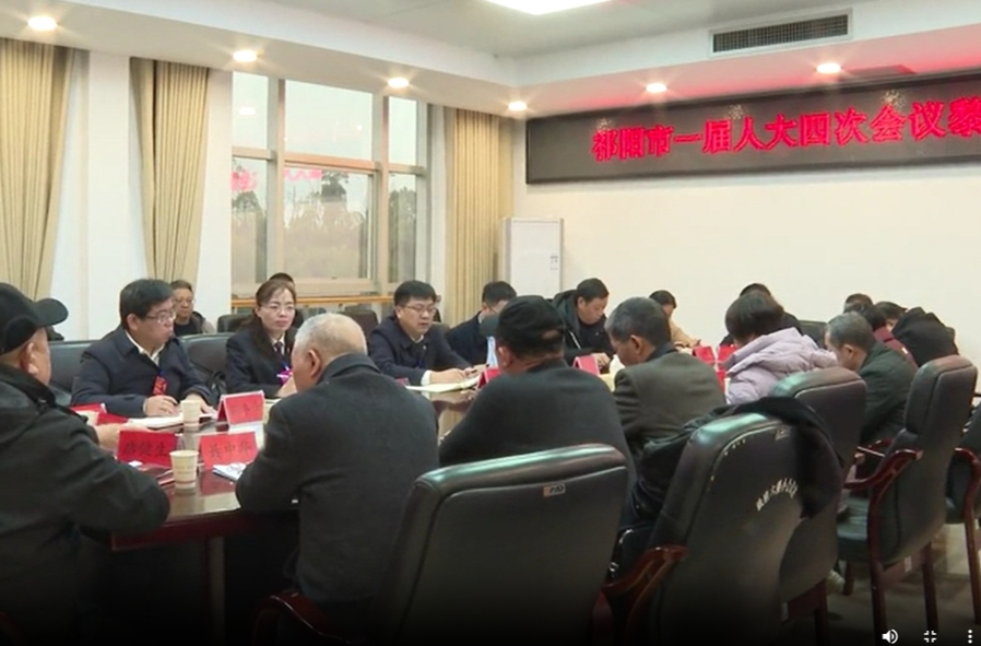 陈小平参加黎家坪代表团讨论