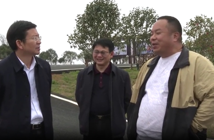 蒋良铁深入祁阳现代农业产业园调研油茶项目建设